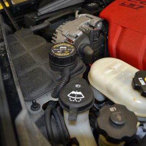 Z06DSC_0029