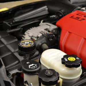 Z06DSC_0065