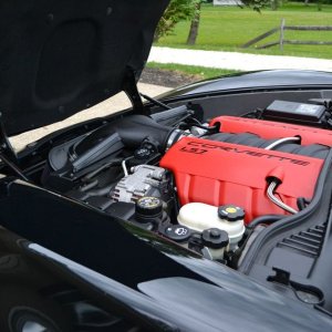 Z06DSC_0096