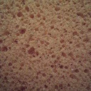 Ultimate Sponge Comparison