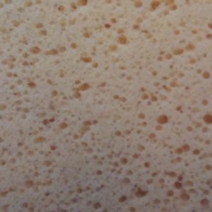 Ultimate Sponge Comparison