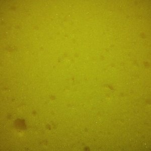Ultimate Sponge Comparison