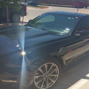 2015 Mustang GT 5.0