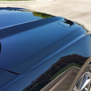 2015 Mustang GT 5.0