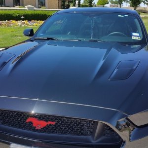 2015 Mustang GT 5.0