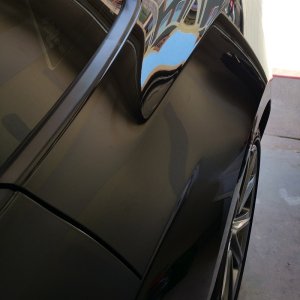 2015 Mustang GT 5.0