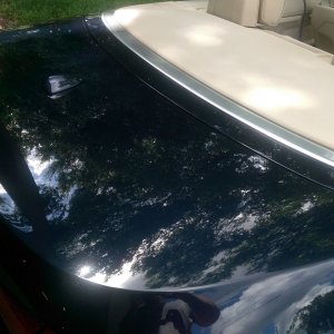 tn_IMAG0797