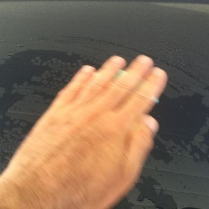 800_IMG_11101