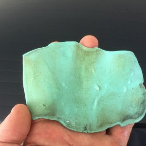 800_IMG_11111