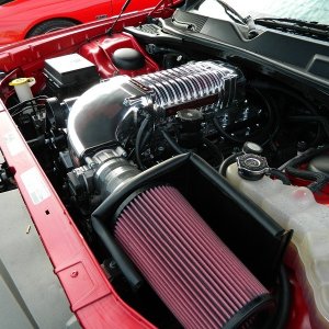 DSCN7548