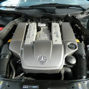 DSCN7579