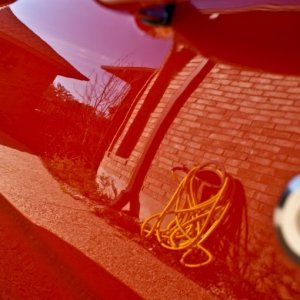 1965_Ford_Mustang_GT350_2_