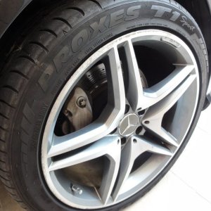 labrador, sharkpolitur, mercedes s 500 amg