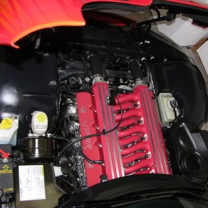 Viper Engine Bay Detail