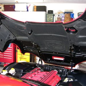Viper Engine Bay Detail