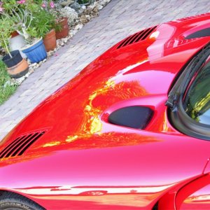 2002 Viper ACR Detail