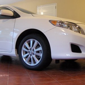 2010 COROLLA