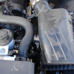 b11