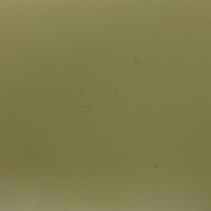 IMG_0552