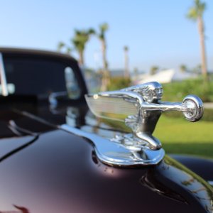 IMG_05364