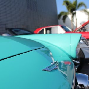 IMG_06174