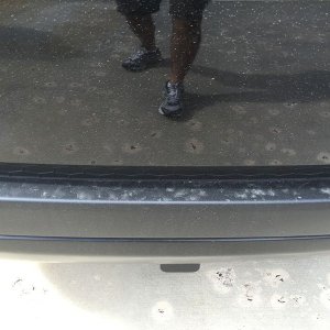 800_cardetailingwestpalmbeachbeforeshots_5_