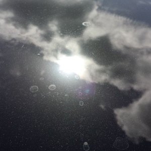 800_cardetailingwestpalmbeachcarpolishing_1_