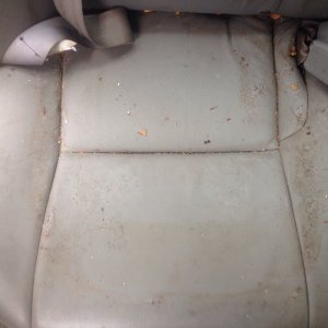 Camry24