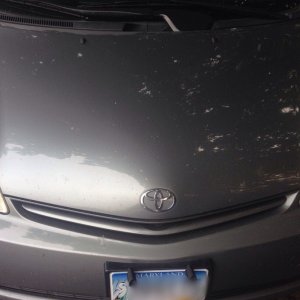 Prius01