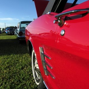 IMG_02245