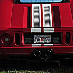 IMG_02308