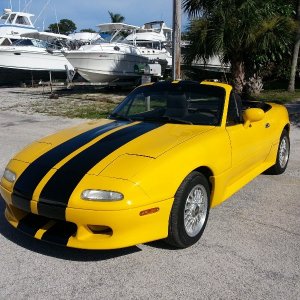 Screamin' Yellow