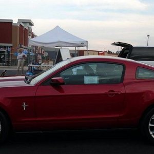Franks Mustang Sally