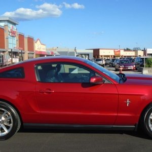 Franks Mustang Sally