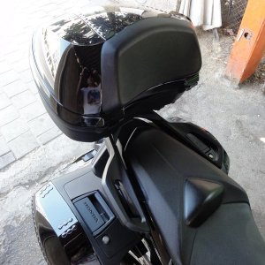 DSC00501-wr1