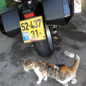 DSC00508-wr