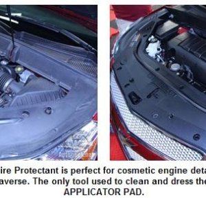 BLACKFIRE Cosmetic Engine Detailing Kit