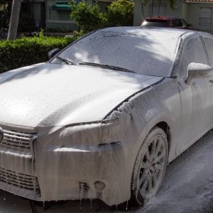 8005