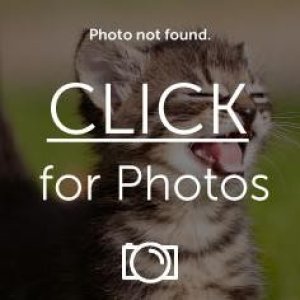 Photobucket Missing Pictures