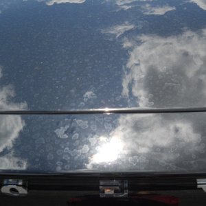 Trunk_lid