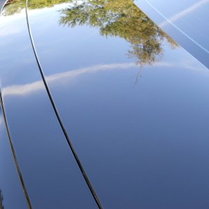 Trunk_deck_after