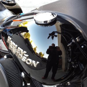 Harley test pic