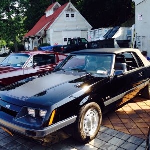 Mustang photos 2015