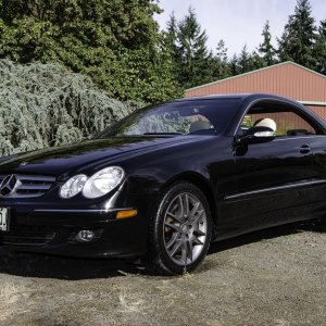 Pillarless coupe