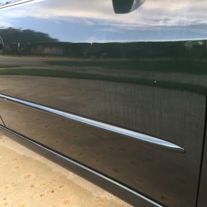 800_IMG_1348_1_