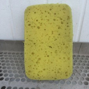 800_IMG_13601