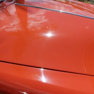 1950 Ford Custom Convertible Detailed at Autogeek Mike Phillips