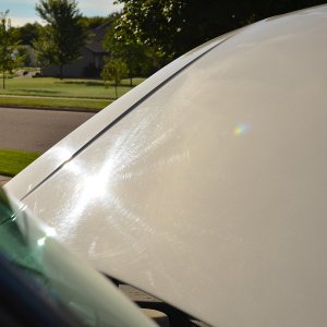 DSC_14082