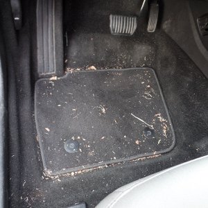 frontdriverfloorb4