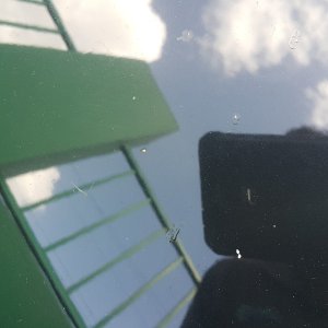 Pit marks and chips on bonnet